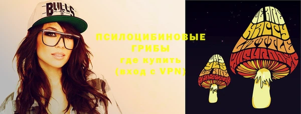эйфоретик Богородицк